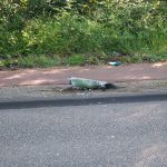 Auto rijdt lantaarnpaal omver op Rozenlaan in Maassluis
