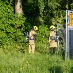 Kleine brand in bosschage aan Coldenhovelaan in Maasdijk snel onder controle