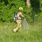 Kleine brand in bosschage aan Coldenhovelaan in Maasdijk snel onder controle