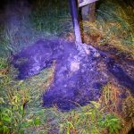 Scooterbrand aan Wipperskade in Maassluis blijkt prullenbakbrand