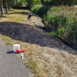Brandstichting bij bermbrand Maassluis en Maasdijk