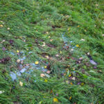 Auto rolt van dijk op de Maassluissedijk in Vlaardingen