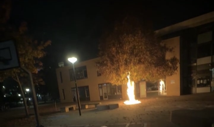 Boom in brand door vuurwerk bij school aan Breitnerstraat in Maassluis