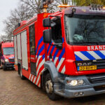 Hulpdiensten massaal uitgerukt voor melding persoon te water in Vondelpark in Maassluis