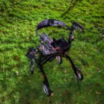 Vrouw te water bij Albert Heijn aan de Huis te Veldelaan in Maasland