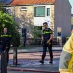 Flinke rookontwikkeling bij balkonbrand aan Prinses Wilhelminastraat in Maasdijk